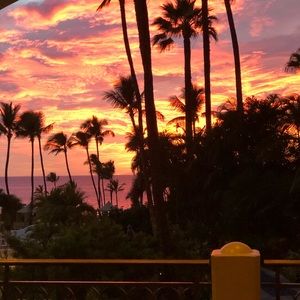 Meet your Posher, Maja